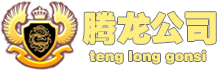 腾龙官方LOGO-专业服务品牌标识